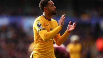 Brighton vs Wolves: Preview and Prediction